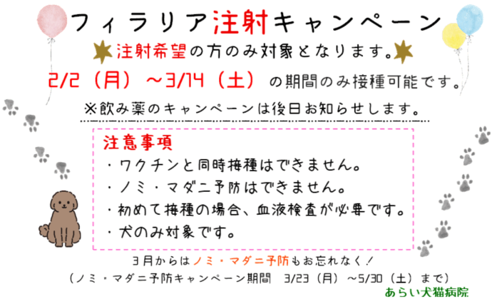 フィラリア注射キャンペーン