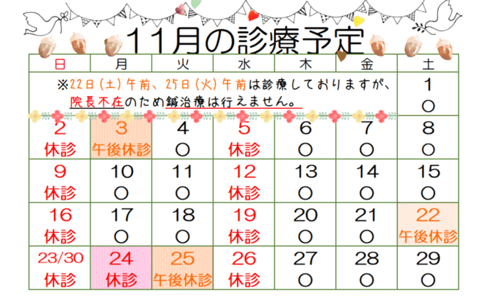 11月の診療予定