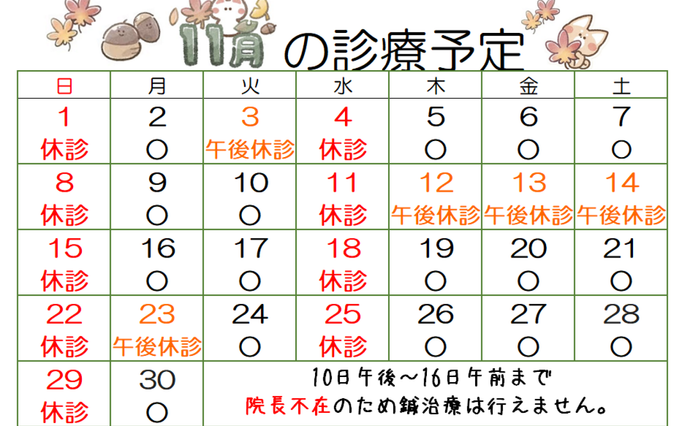11月の診療予定