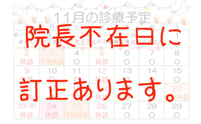 11月の診療予定