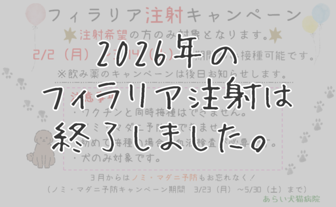 フィラリア注射キャンペーン