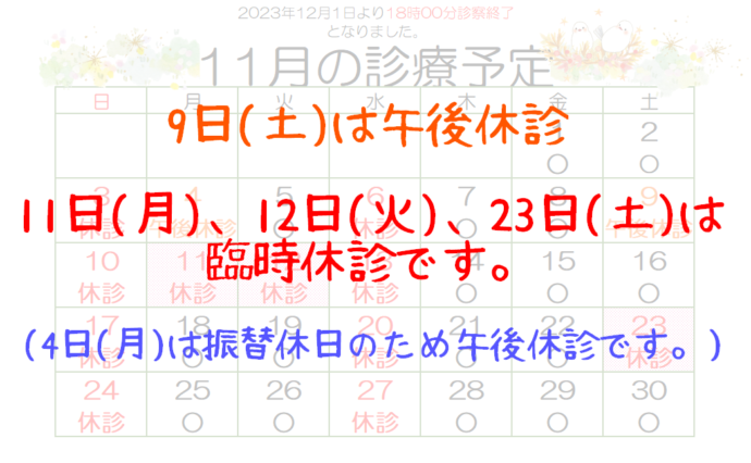 11月の診療予定