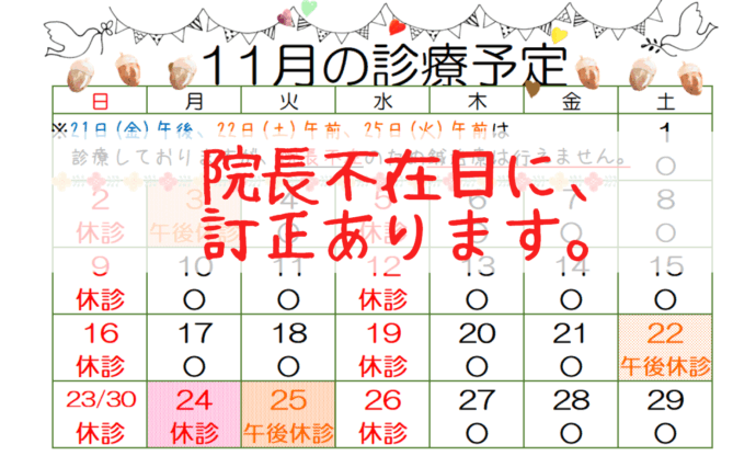 11月の診療予定